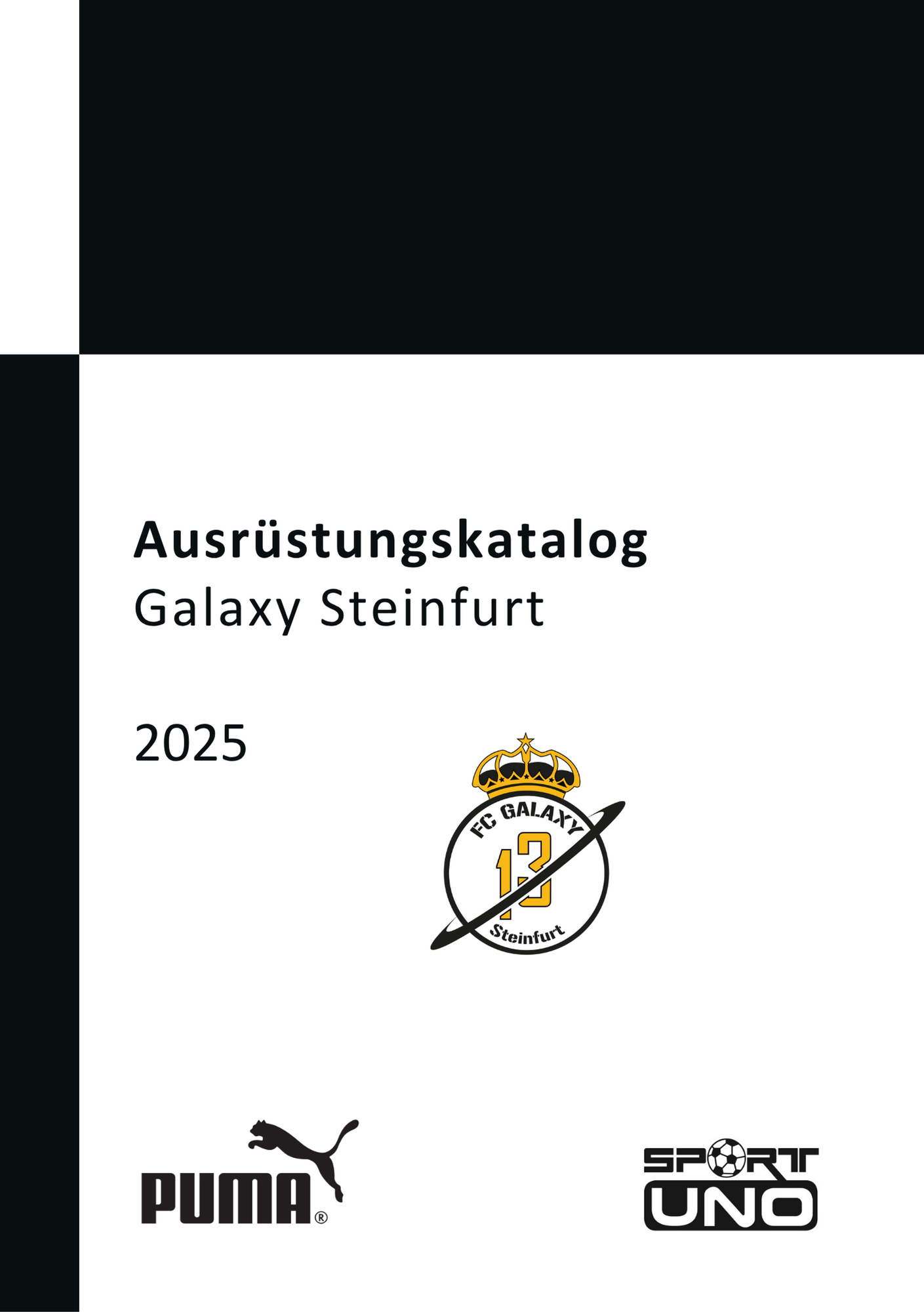 Galaxy Steinfurt