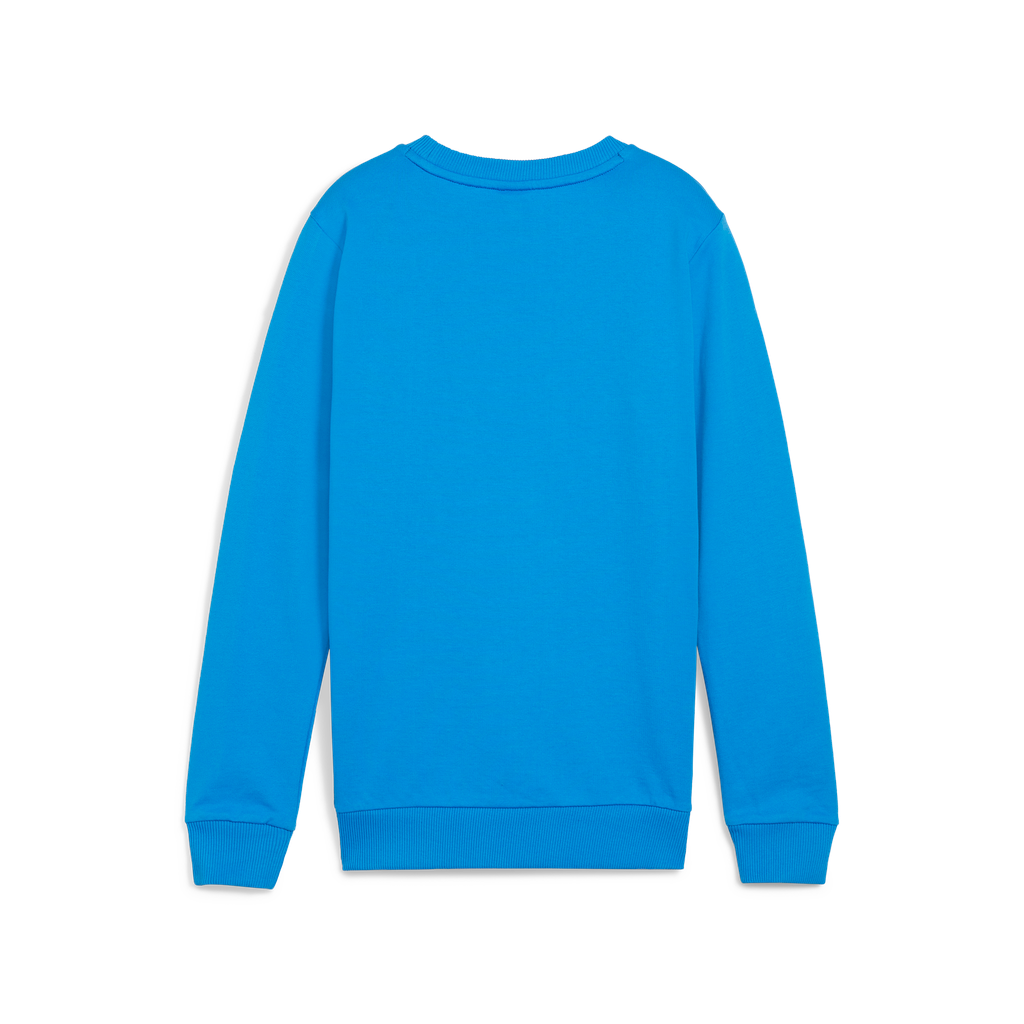Teamgoal Casuals Crew Neck Sweat Jr Blau 02