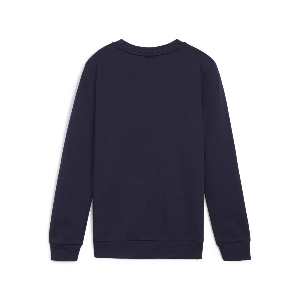Teamgoal Casuals Crew Neck Sweat Jr Blau 06