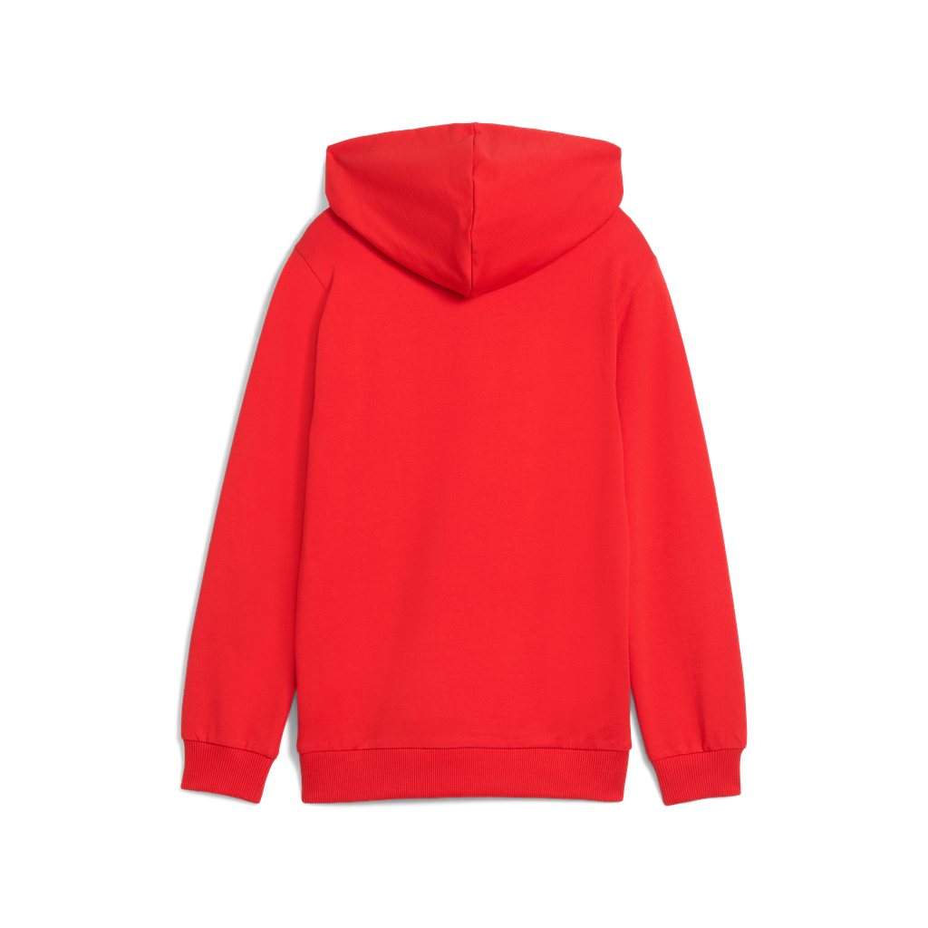 Teamgoal Casuals Hoody Jr Rot