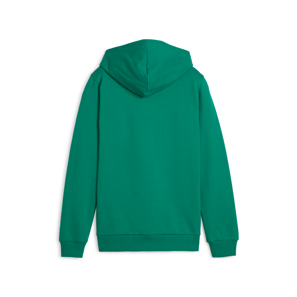 Teamgoal Casuals Hoody Jr Grün