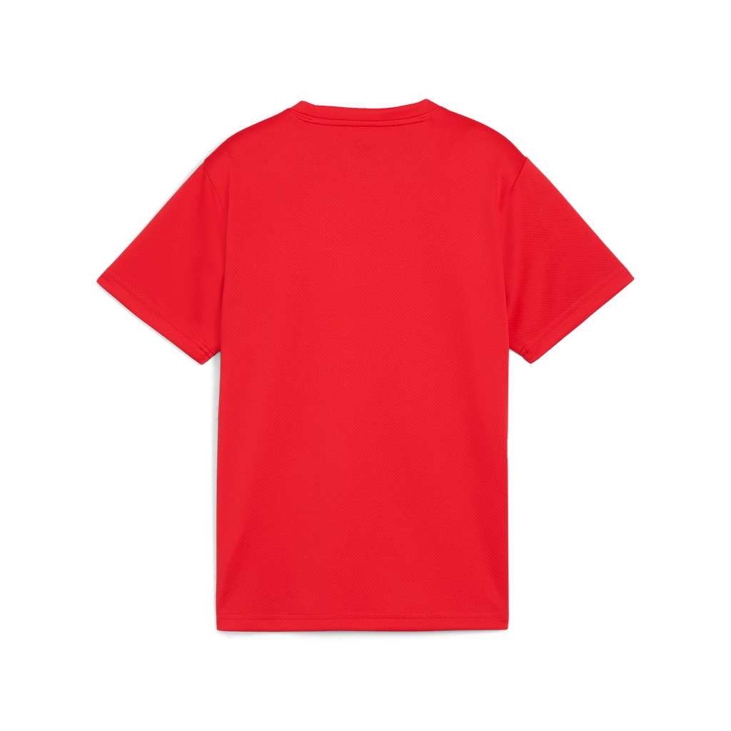 Teamgoal Trikot Jr Rot