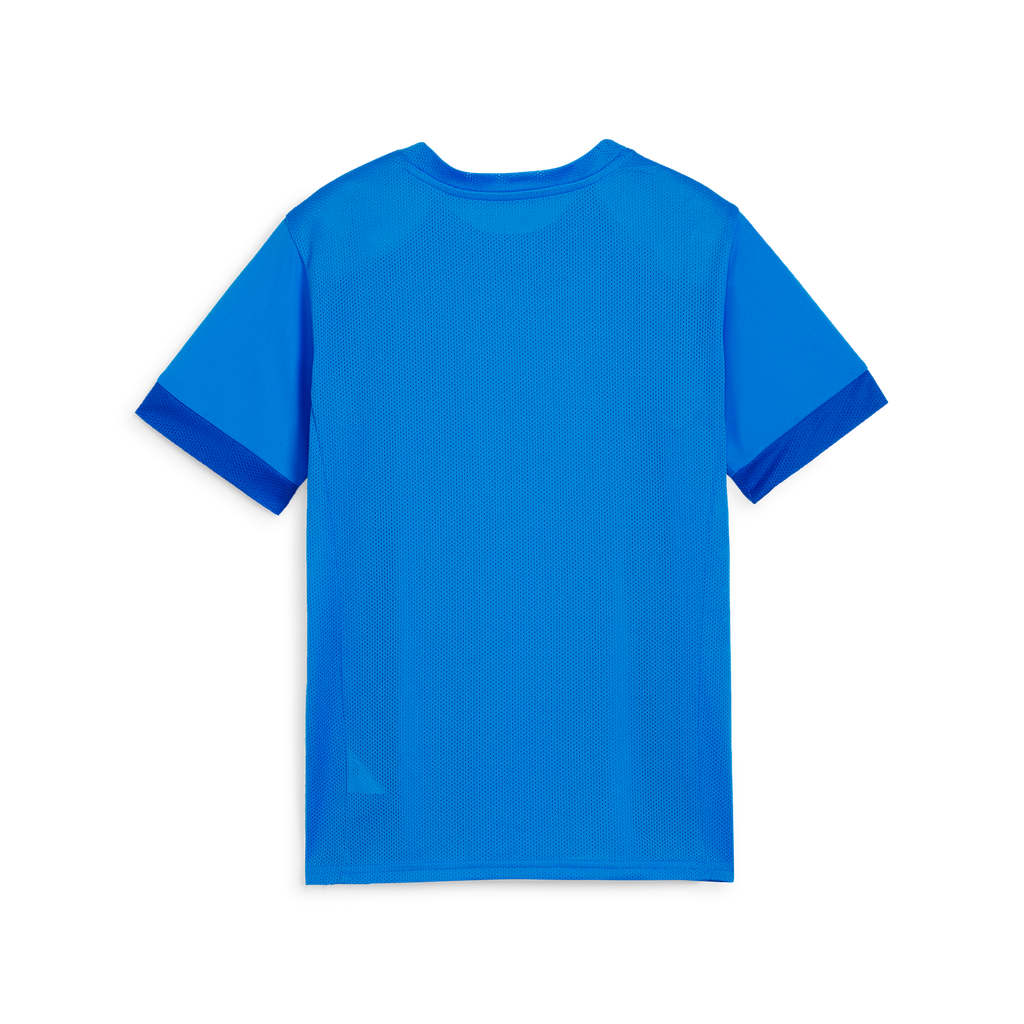 Teamgoal Matchday Jersey Jr Blau 02