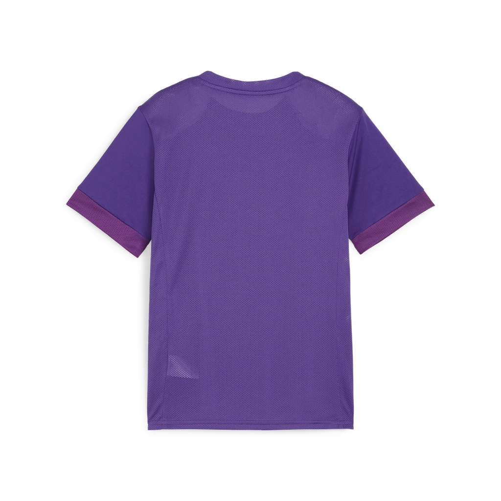 Teamgoal Matchday Jersey Jr Lila