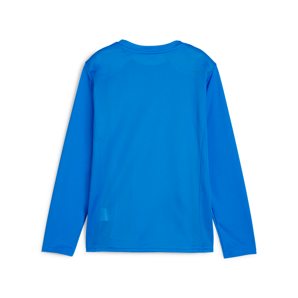 Teamgoal Ls Jersey Jr Blau