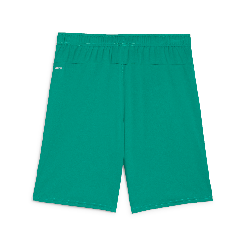 Teamgoal Shorts Grün 05