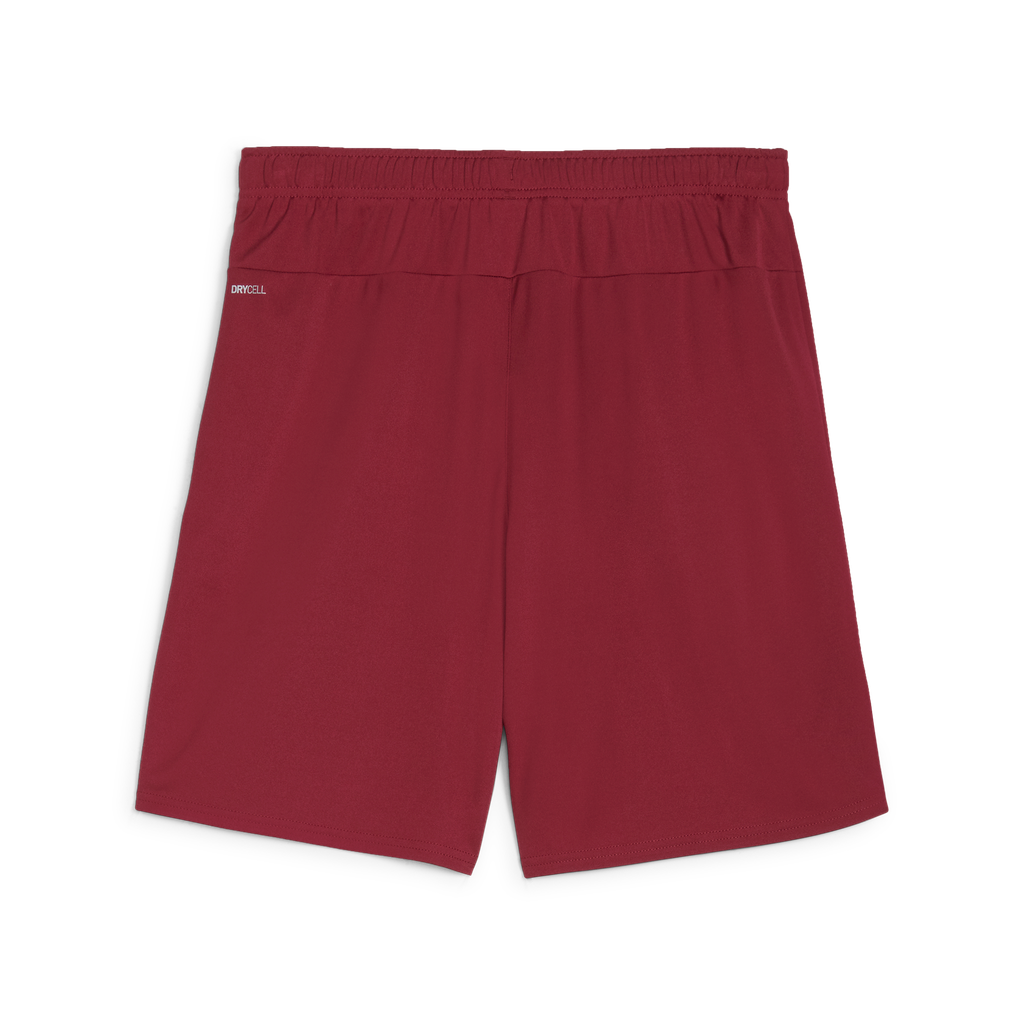 Teamgoal Shorts Rot 09