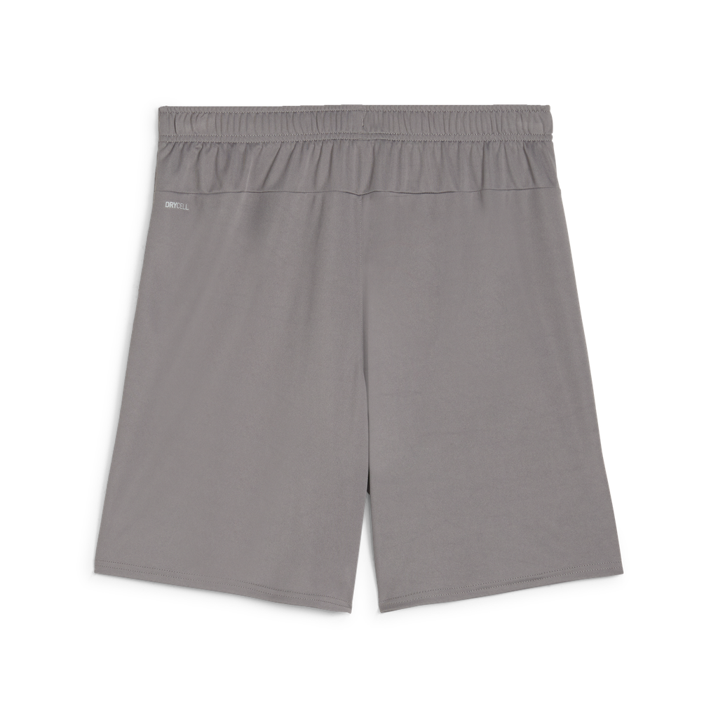 Teamgoal Shorts Grau