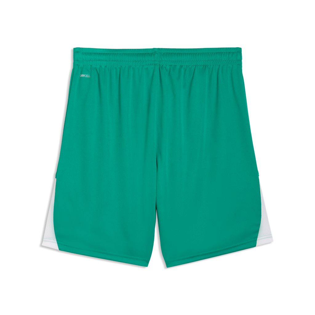 teamLIGA26 Shorts Grün 05