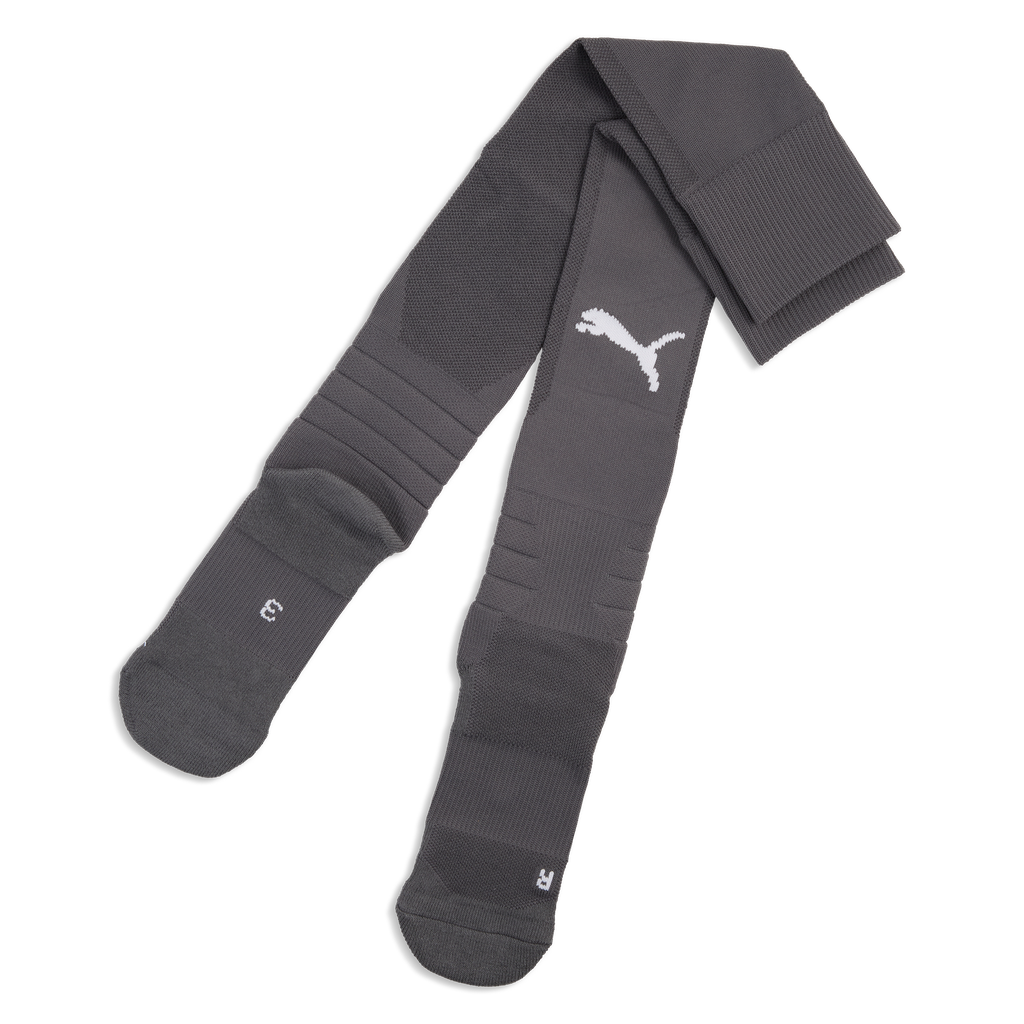 teamLIGA26 Socken Grau