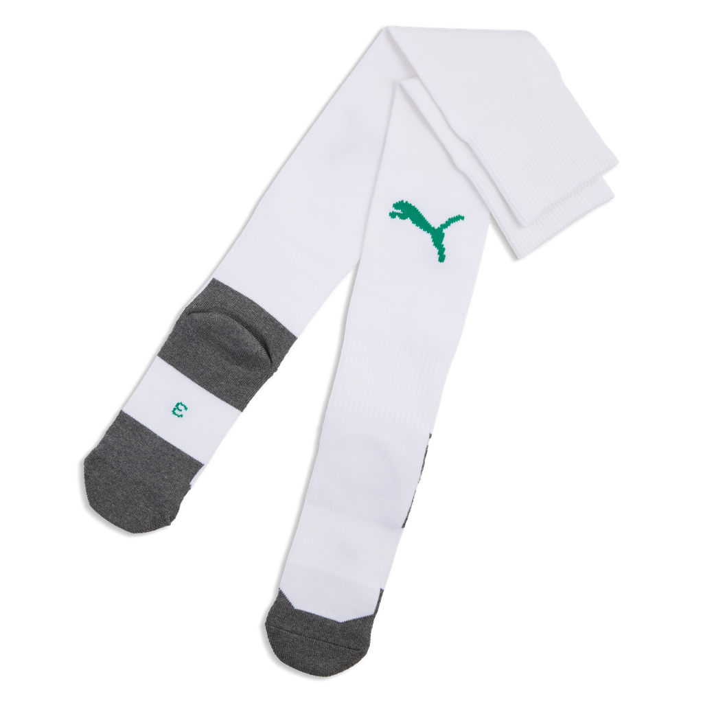teamLIGA26 Socken Core Weiß 15