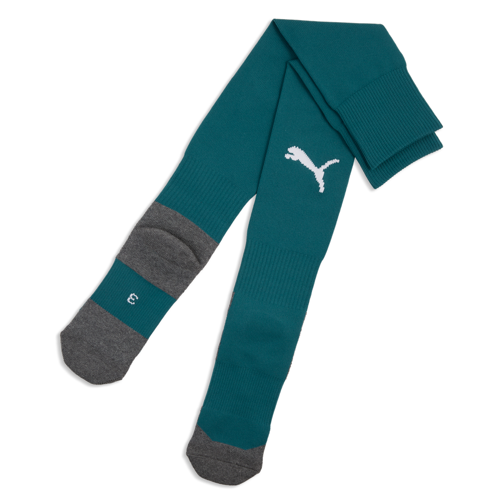 teamLIGA26 Socken Core Grün 43