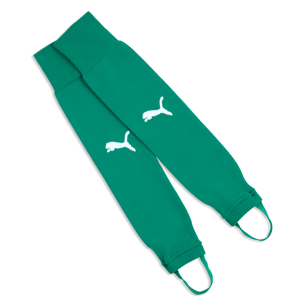 teamLIGA26 Socken Core Steg Grün