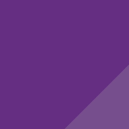 Team LIGA Socken Lila