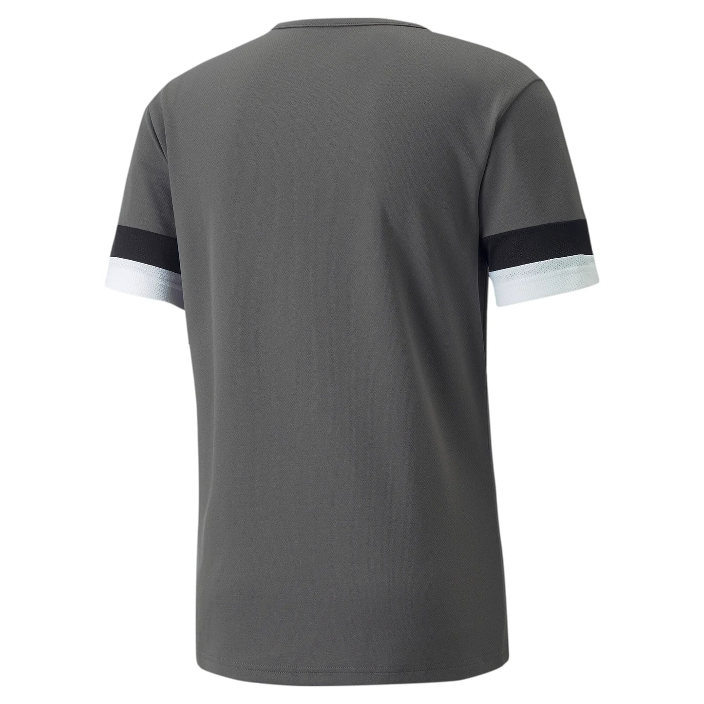 teamRISE Jersey Grey