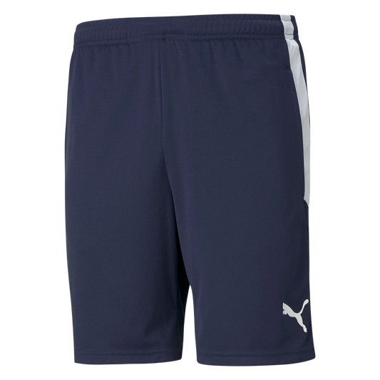 teamLIGA Trainingsshorts Blau