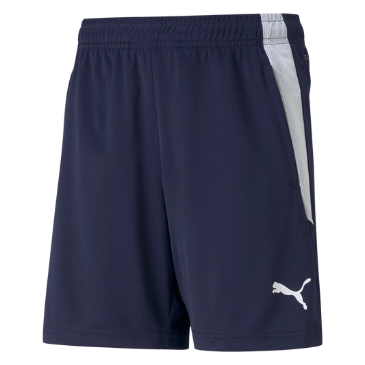 teamLIGA Trainingsshorts Jr Blau