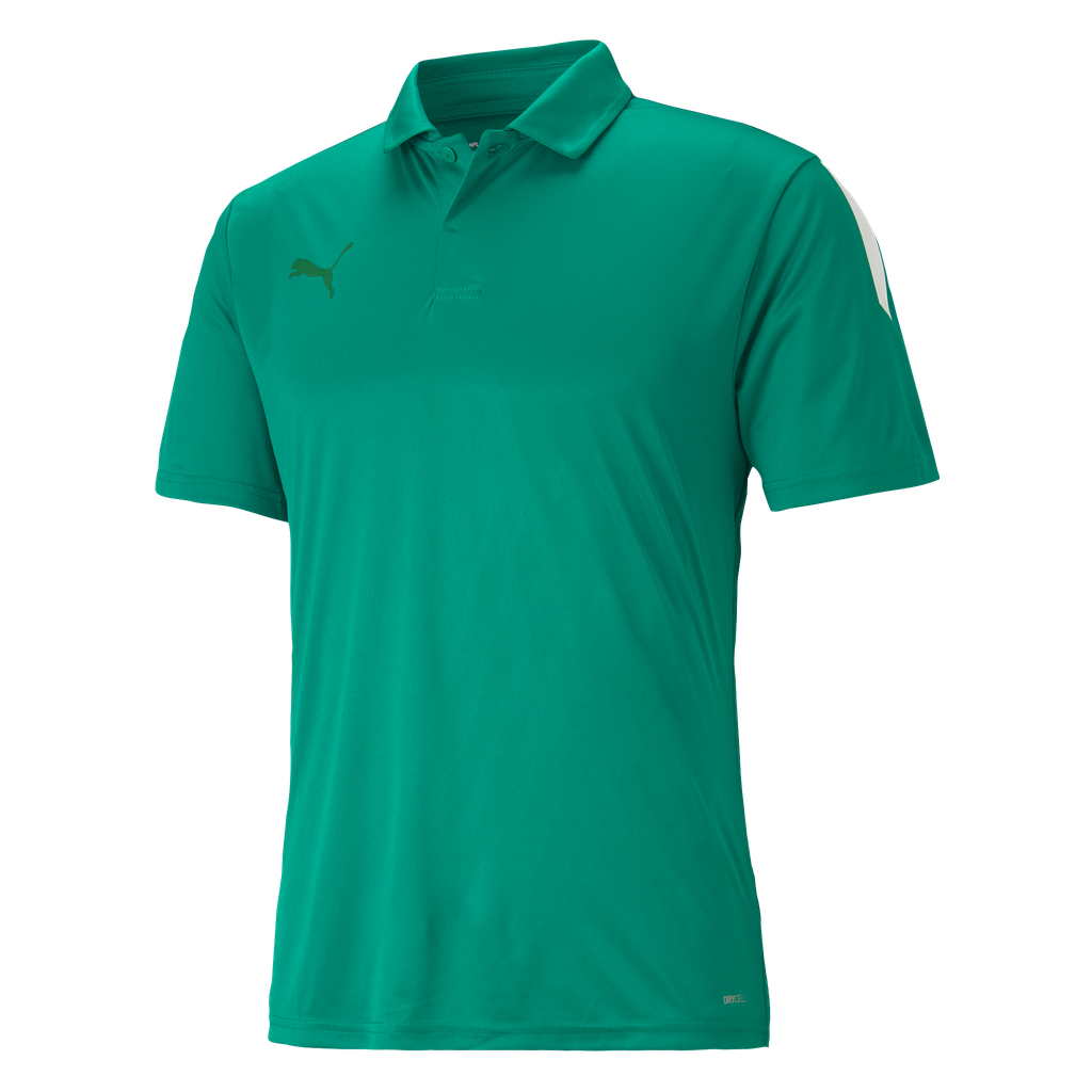 teamLIGA Sideline Polo Grün