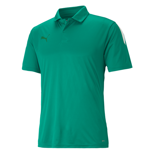 teamLIGA Sideline Polo Grün