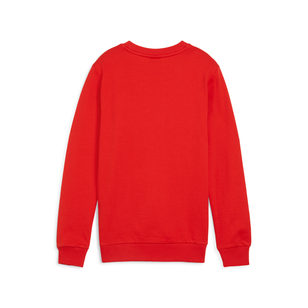 Teamgoal Casuals Crew Neck Sweat Jr Rot