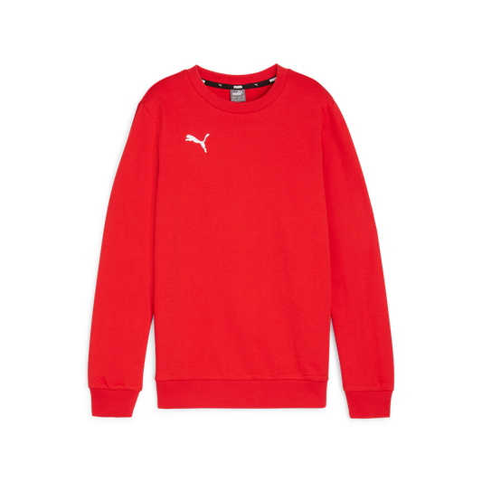 Teamgoal Casuals Crew Neck Sweat Jr Rot