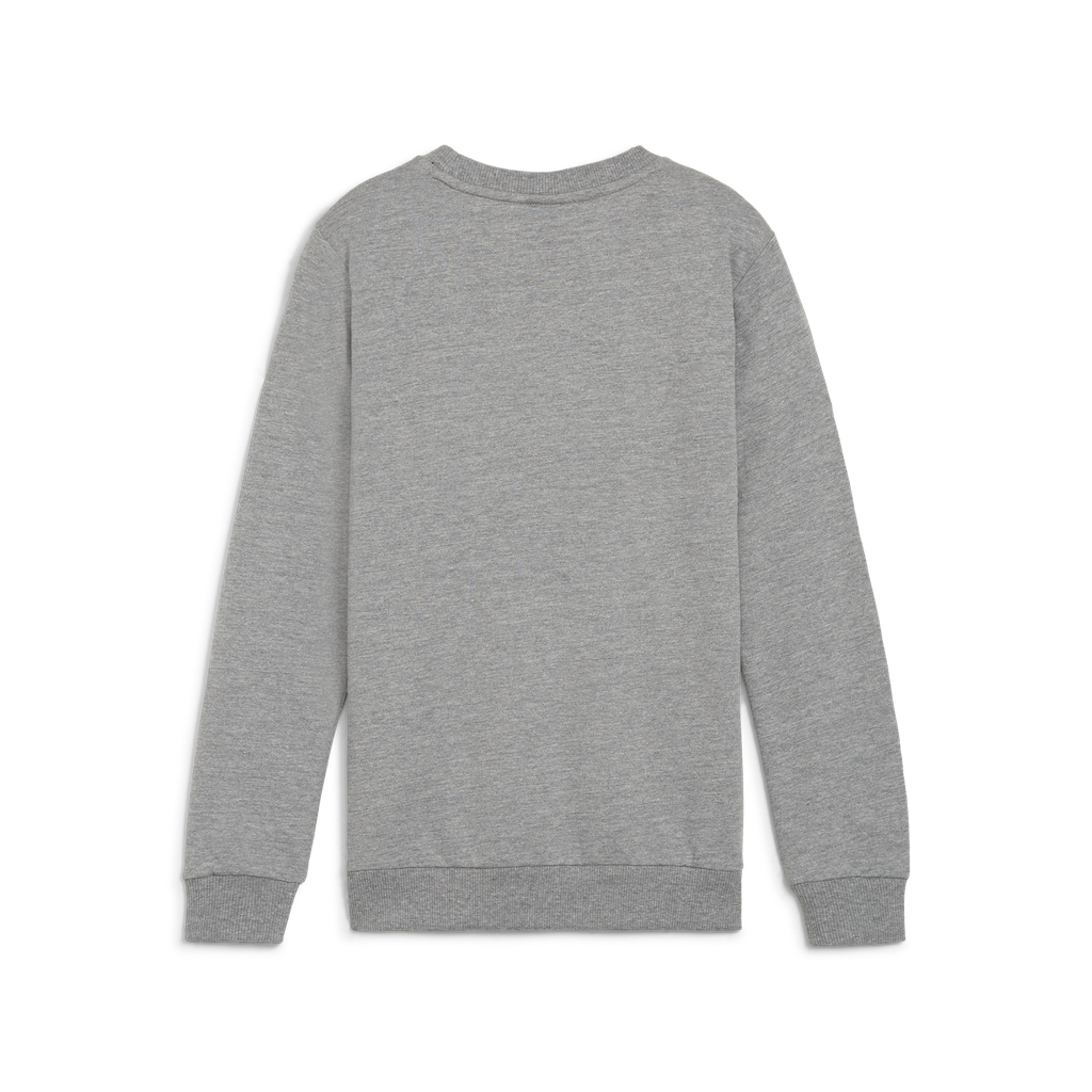Teamgoal Casuals Crew Neck Sweat Jr Grau