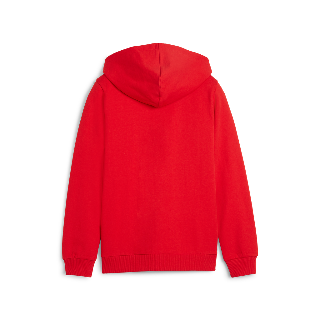 Teamgoal Casuals Hooded Jacket Jr Rot