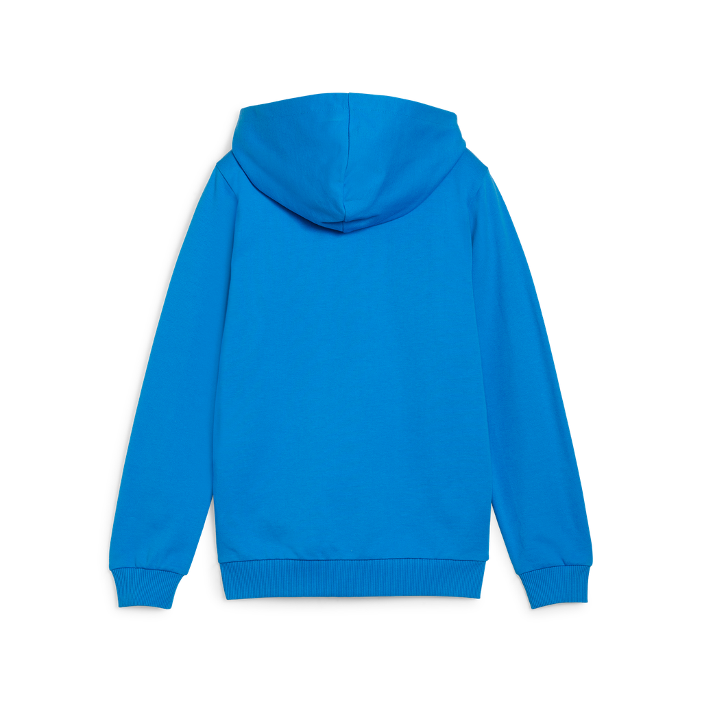 Teamgoal Casuals Hooded Jacket Jr Blau 02