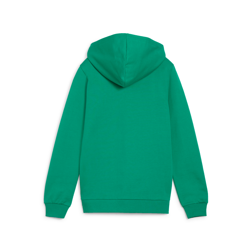 Teamgoal Casuals Hooded Jacket Jr Grün