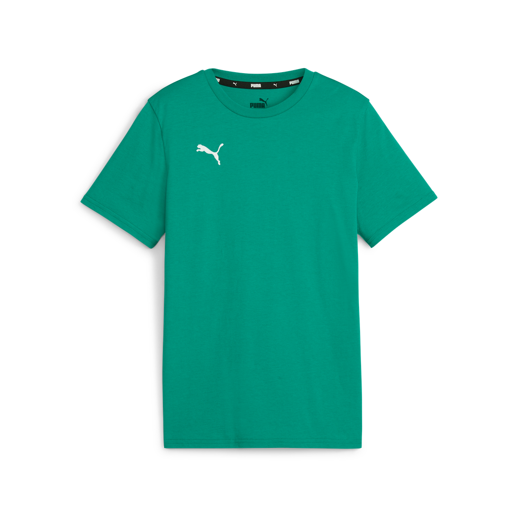 Teamgoal Casuals Tee Jr Grün