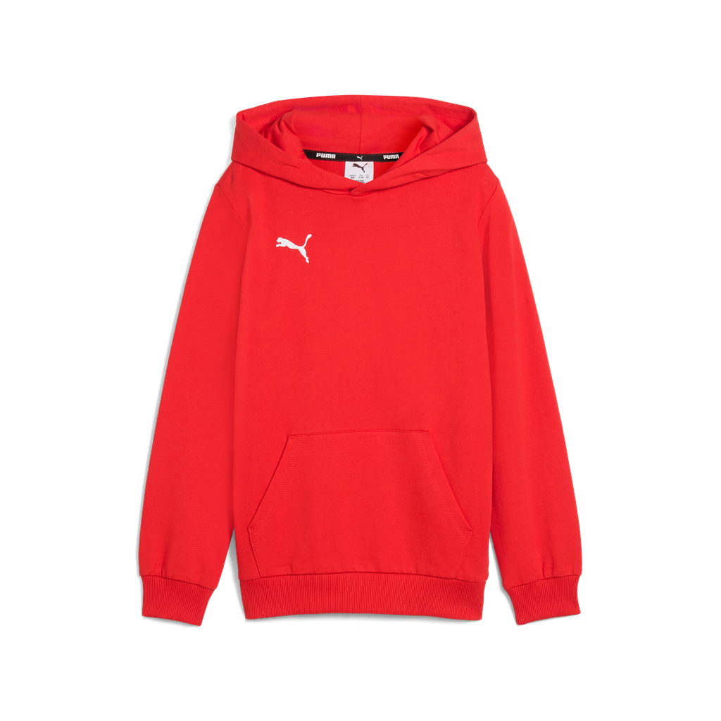 Teamgoal Casuals Hoody Jr Rot