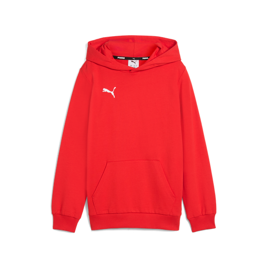 Teamgoal Casuals Hoody Jr Rot