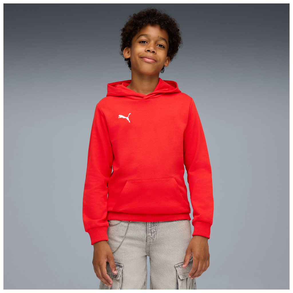 Teamgoal Casuals Hoody Jr Rot