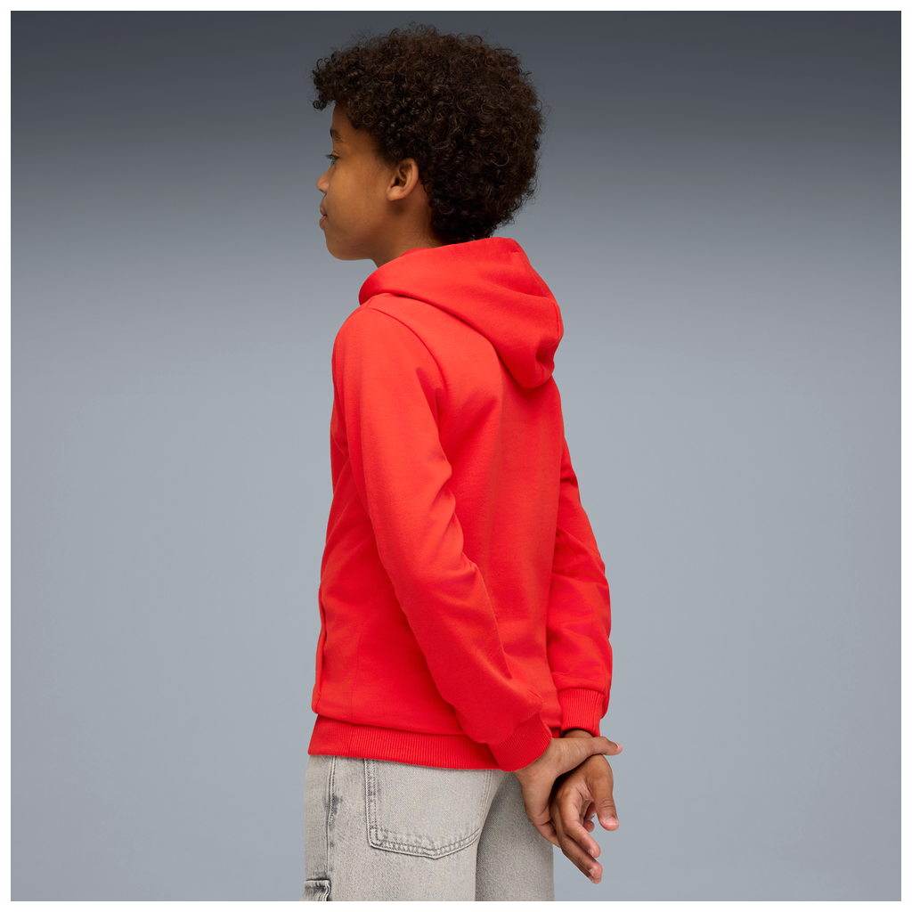 Teamgoal Casuals Hoody Jr Rot