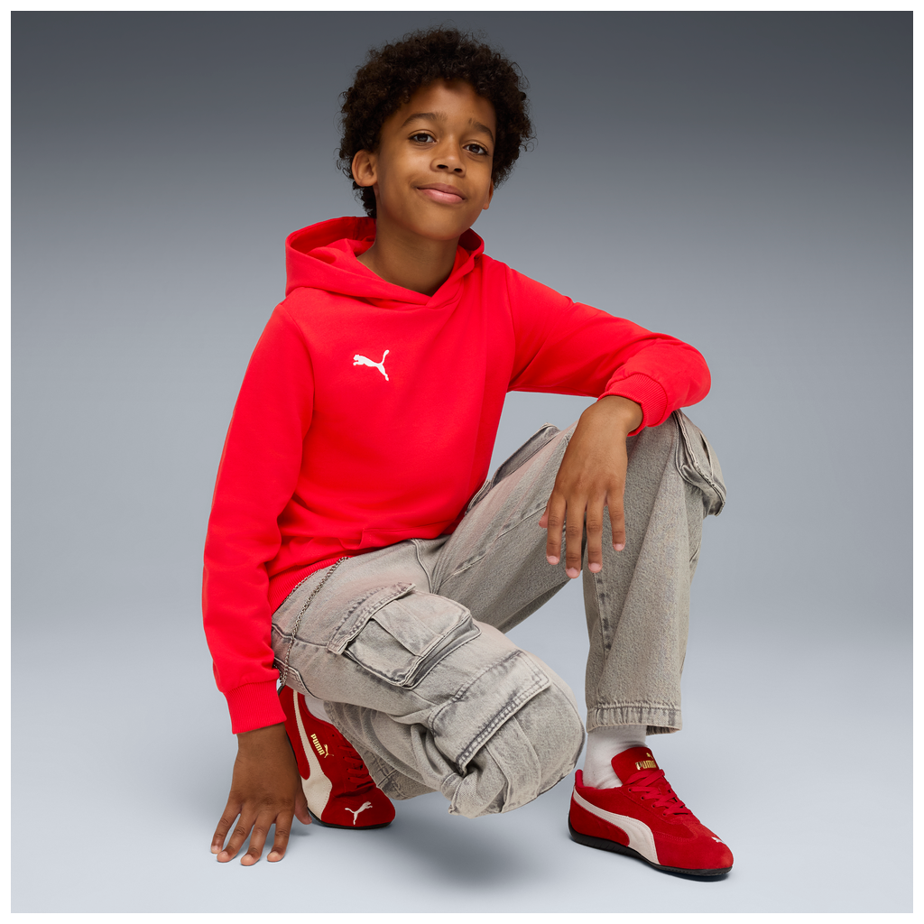 Teamgoal Casuals Hoody Jr Rot