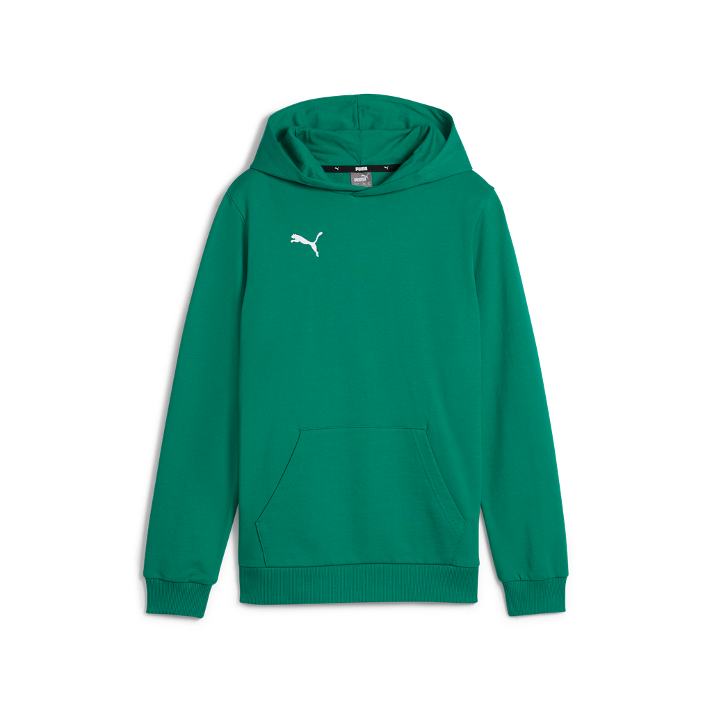 Teamgoal Casuals Hoody Jr Grün