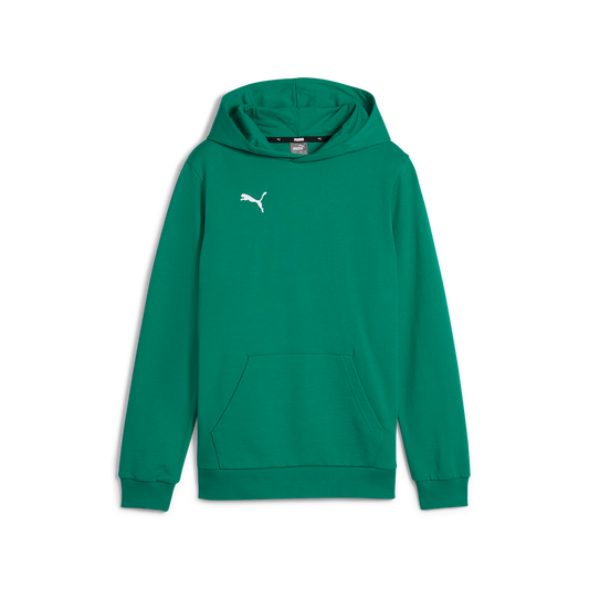 Teamgoal Casuals Hoody Jr Grün