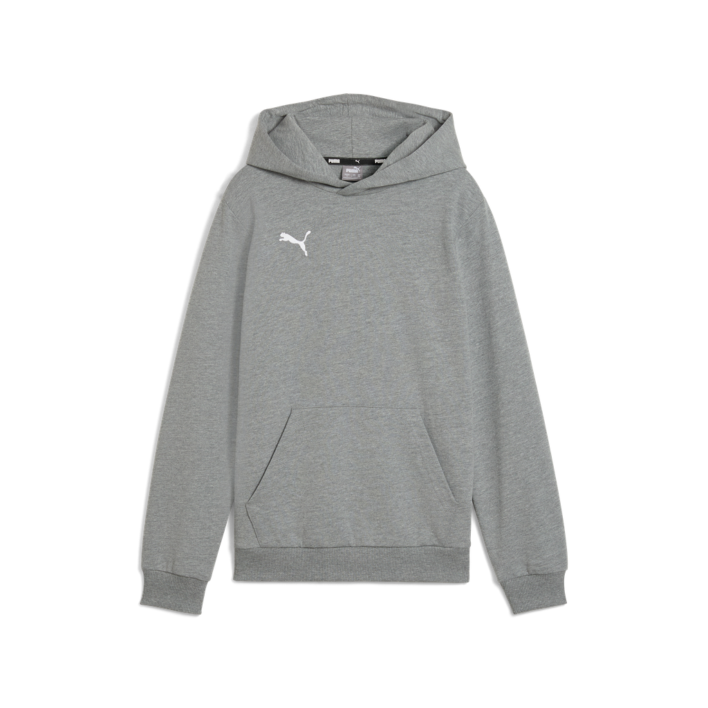 Teamgoal Casuals Hoody Jr Grau