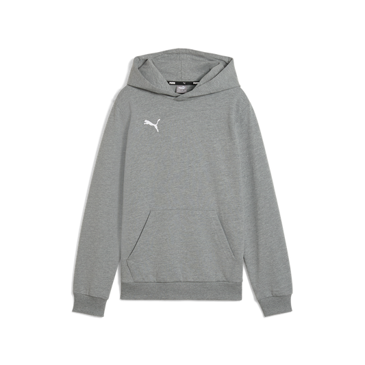 Teamgoal Casuals Hoody Jr Grau