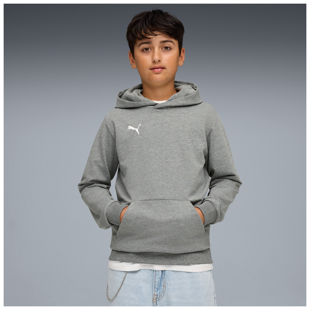 Teamgoal Casuals Hoody Jr Grau