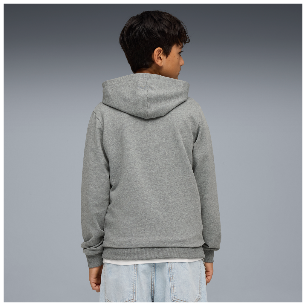 Teamgoal Casuals Hoody Jr Grau