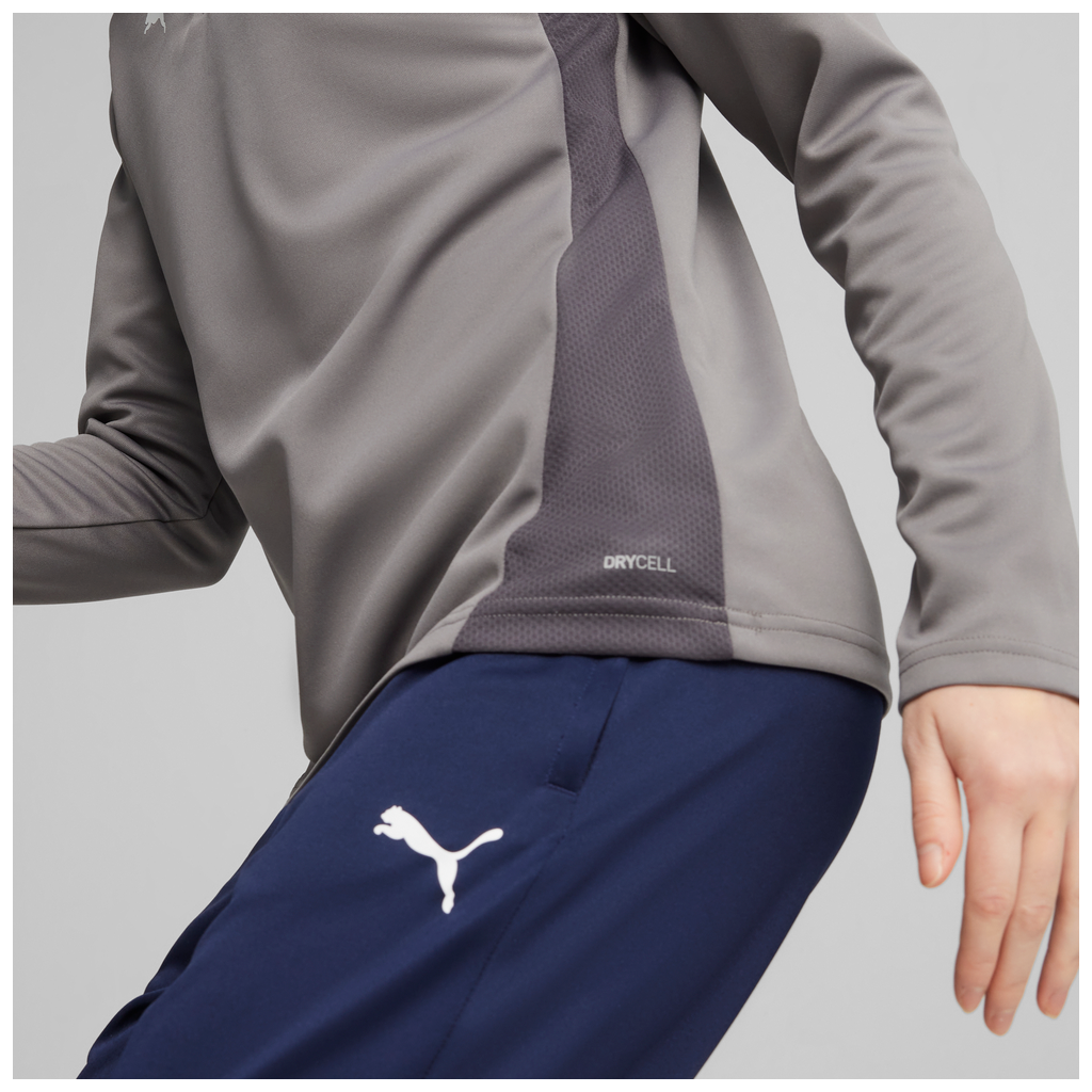 Teamgoal Training 1/4 Zip Top Wmn Grau