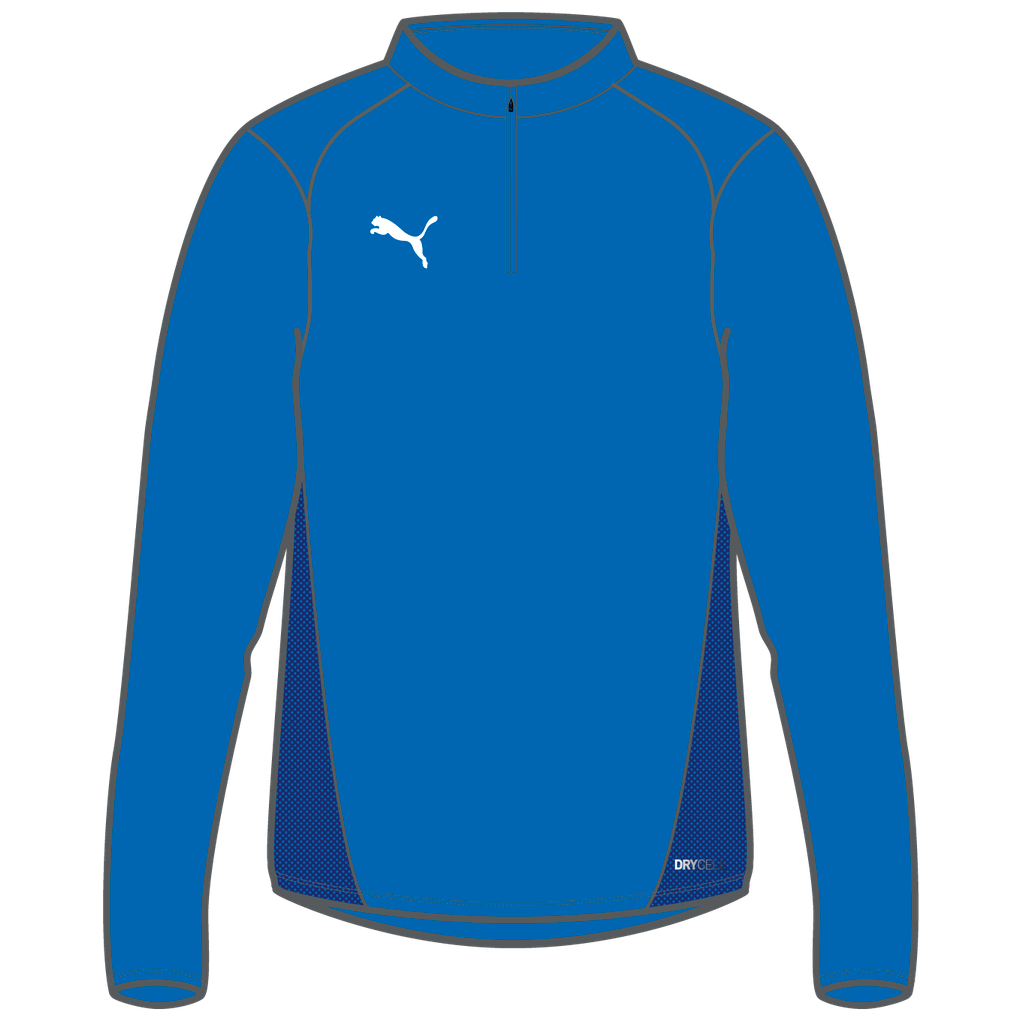 Teamgoal Training 1/4 Zip Top Jr Blau 02