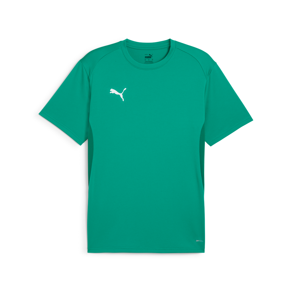 Teamgoal Trikot Grün