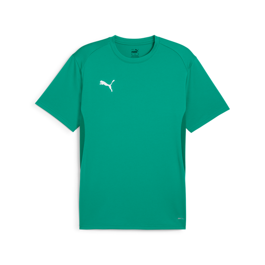 Teamgoal Trikot Grün