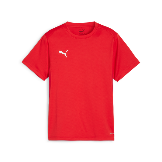 Teamgoal Trikot Jr Rot