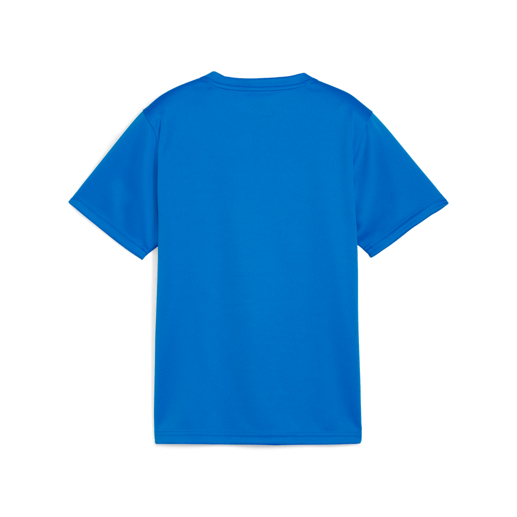 Teamgoal Trikot Jr Blau 02