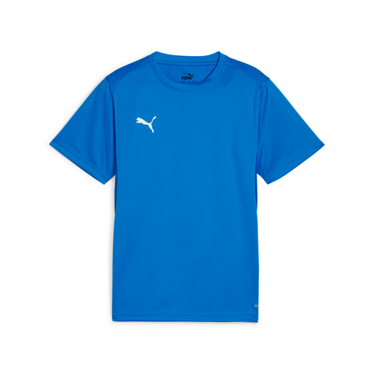 Teamgoal Trikot Jr Blau 02