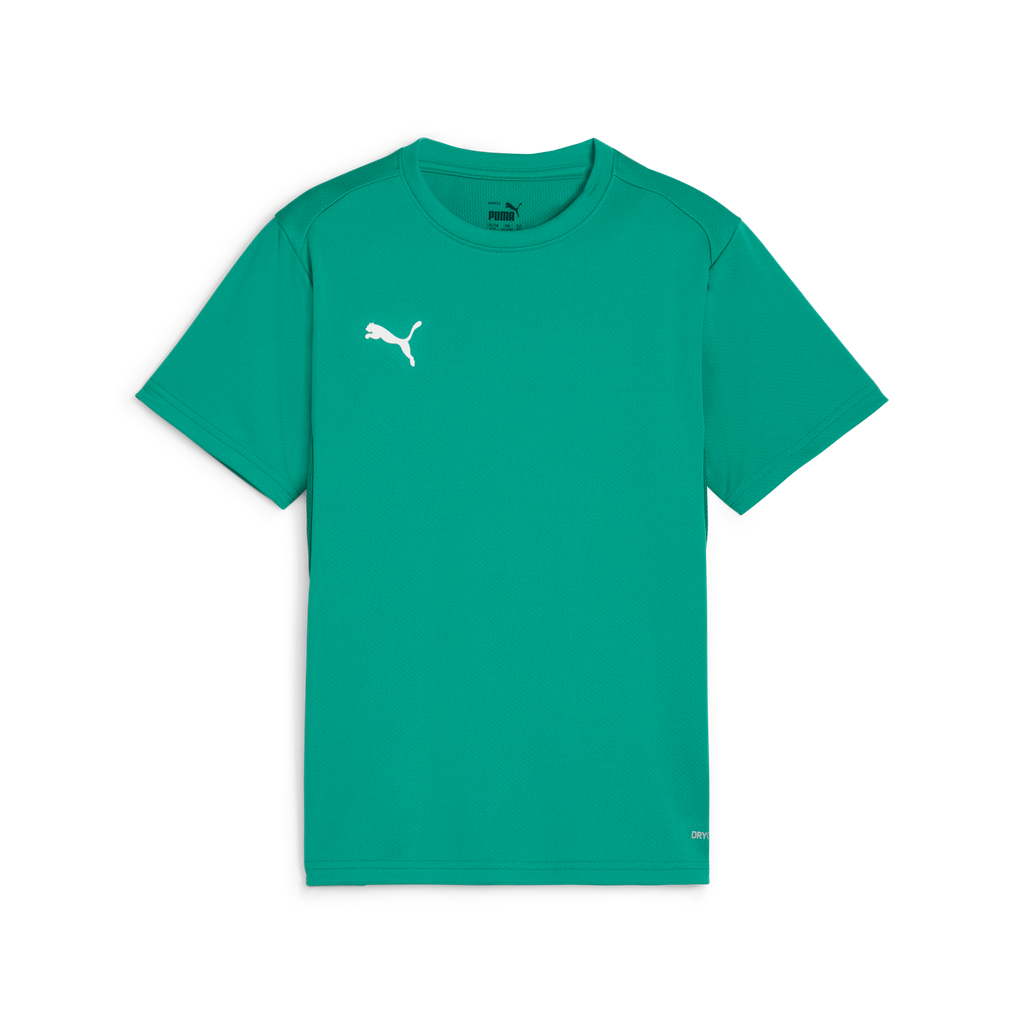 Teamgoal Trikot Jr Grün