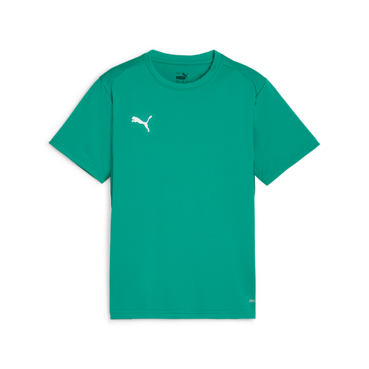 Teamgoal Trikot Jr Grün
